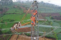 PLN Tembus Daftar Fortune Global 500 Berkat Kenaikan Pendapatan