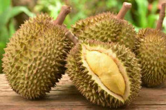 Durian Indonesia Tunjukkan Potensi Besar di Industri Global