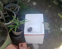 Saat Gali Saluran Air, Warga Lemahwungkuk Temukan Benda Diduga Granat