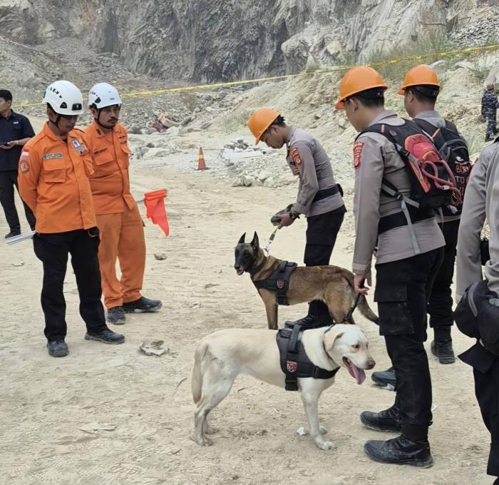 Tiga Titik Lokasi Korban Longsor Terdeteksi Anjing Pelacak di Gunung Kuda